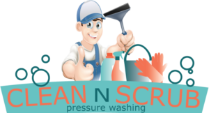 Logo Design by omi10 for Clean N Scrub | Design: #17761558