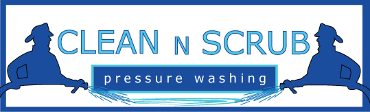 Logo Design by omi10 for Clean N Scrub | Design #17771536