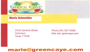 Business Card Design by stevies cartoons