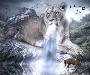 Photoshop Design by Andre