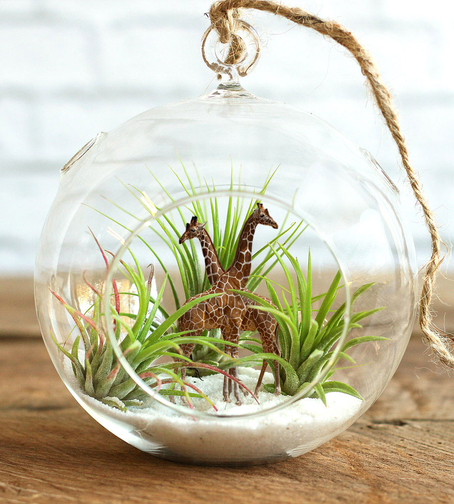 Photoshop Design by snakebit for DesignCrowd (Community Contests) | Design #17794481