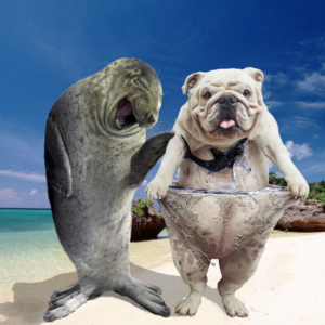 Photoshop Design by clauder13