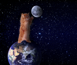 Photoshop Design by fotoshawp