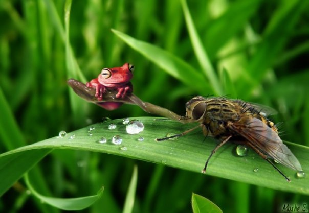 Photoshop Design by Moshik for DesignCrowd (Community Contests) | Design #17778183