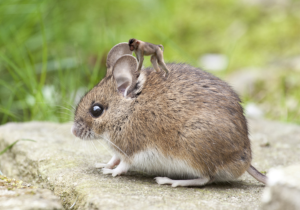 Photoshop Design by rakan3wad