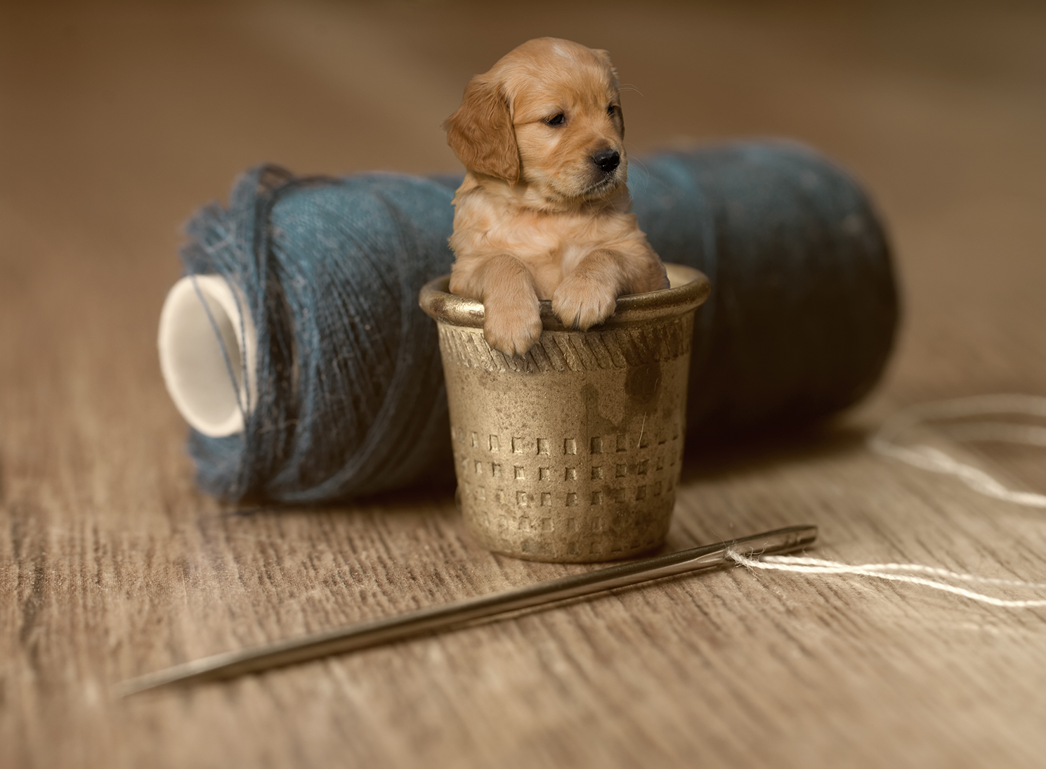 Diseño de Photoshop por Manson Nellum para DesignCrowd (Community Contests) | Diseño #17841860