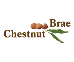 Logo and Business Card Design by  Berna