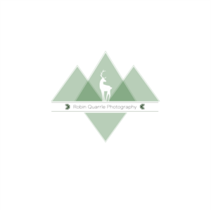 Logo Design by AndreeaTilihoi for this project | Design: #17874953