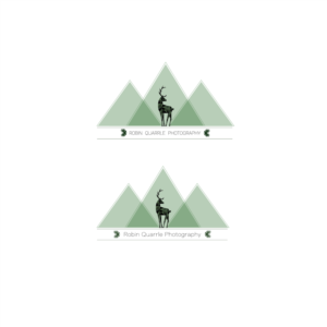 Logo Design by AndreeaTilihoi for this project | Design: #17874954