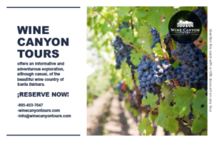 Flyer-Design von E-10 für Wine Canyon Tours | Design: #17909364