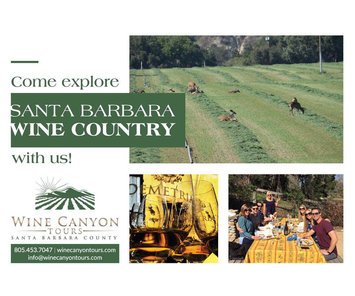 Flyer Design by ngannguyenk810 for Wine Canyon Tours | Design #17834452