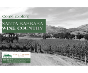 Flyer-Design von ngannguyenk810 für Wine Canyon Tours | Design: #17850645