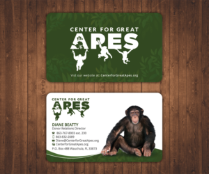 Business Card Design by Stylez Designz for this project | Design: #17779902