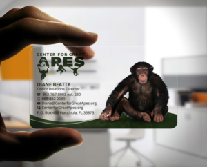 Business Card Design by Stylez Designz for this project | Design: #17779903