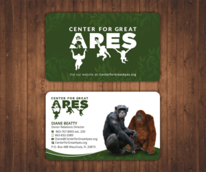Business Card Design by Stylez Designz for this project | Design: #17803522
