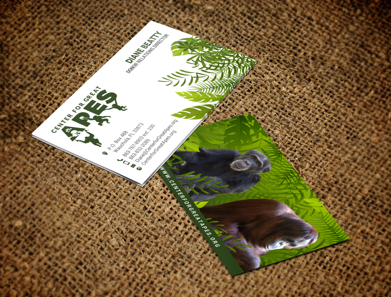 Business Card Design by chandrayaan.creative for this project | Design #17777402