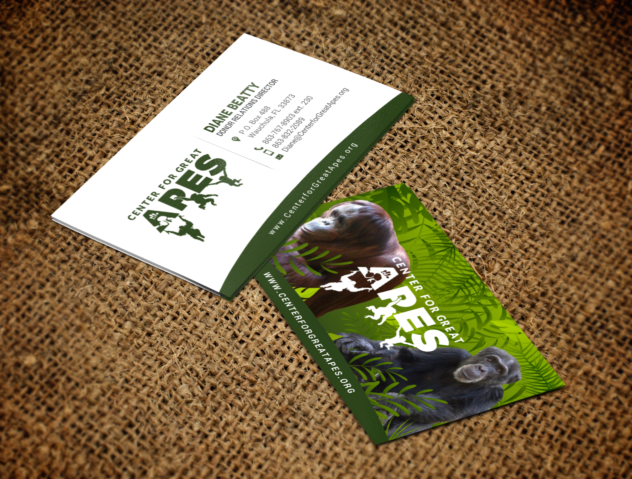 Business Card Design by chandrayaan.creative for this project | Design #17788383