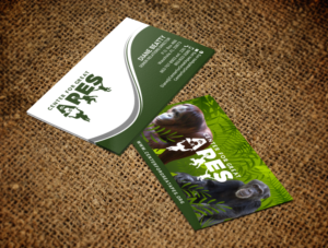 Business Card Design by chandrayaan.creative for this project | Design: #17788446