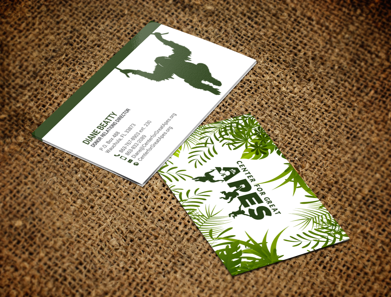Business Card Design by chandrayaan.creative for this project | Design #17788452
