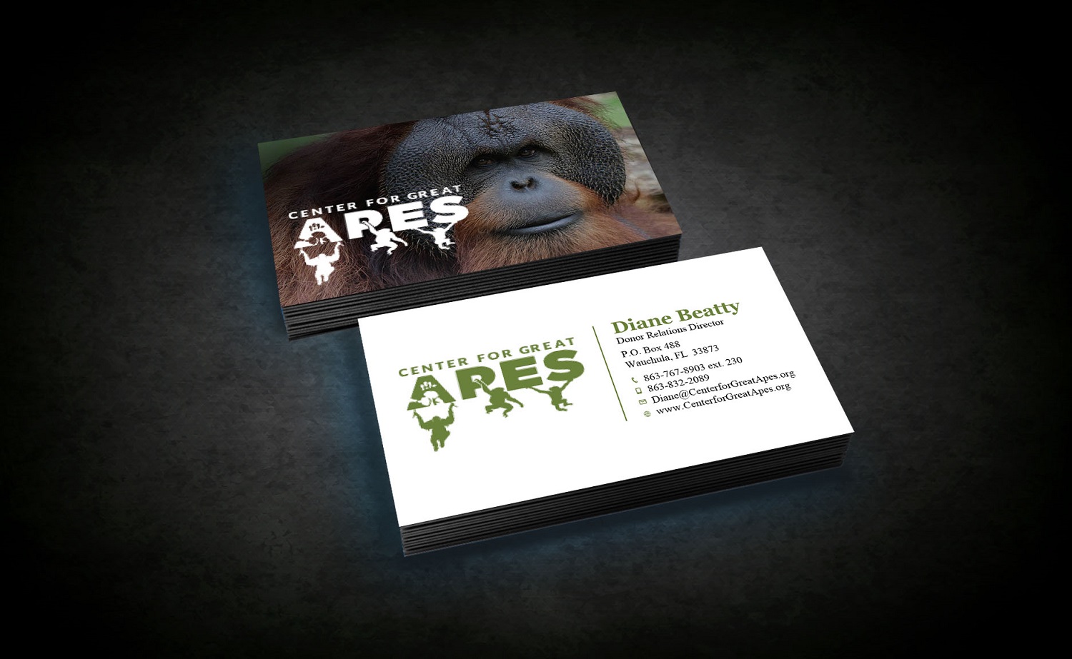Business Card Design by Tripti Ranjan Gain for this project | Design #17771946
