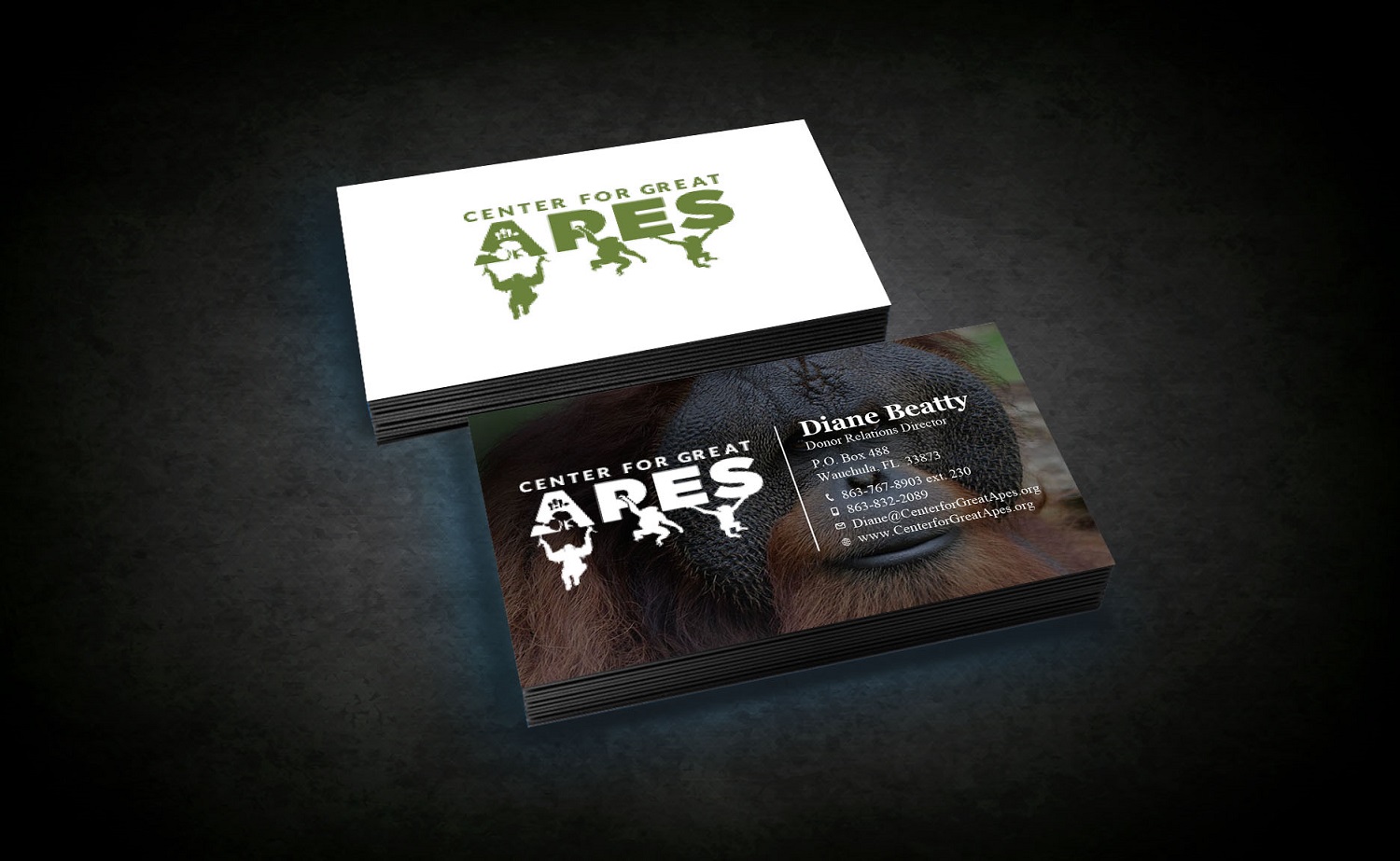 Diseño de Tarjeta de Presentación por Tripti Ranjan Gain para este proyecto | Diseño #17771949