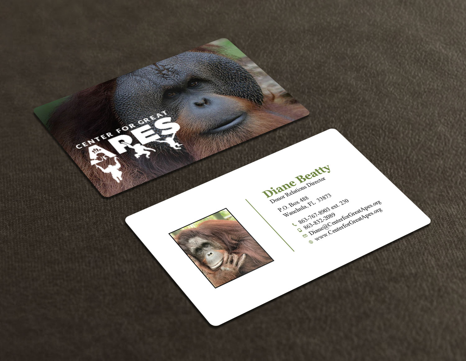 Diseño de Tarjeta de Presentación por Tripti Ranjan Gain para este proyecto | Diseño #17771957