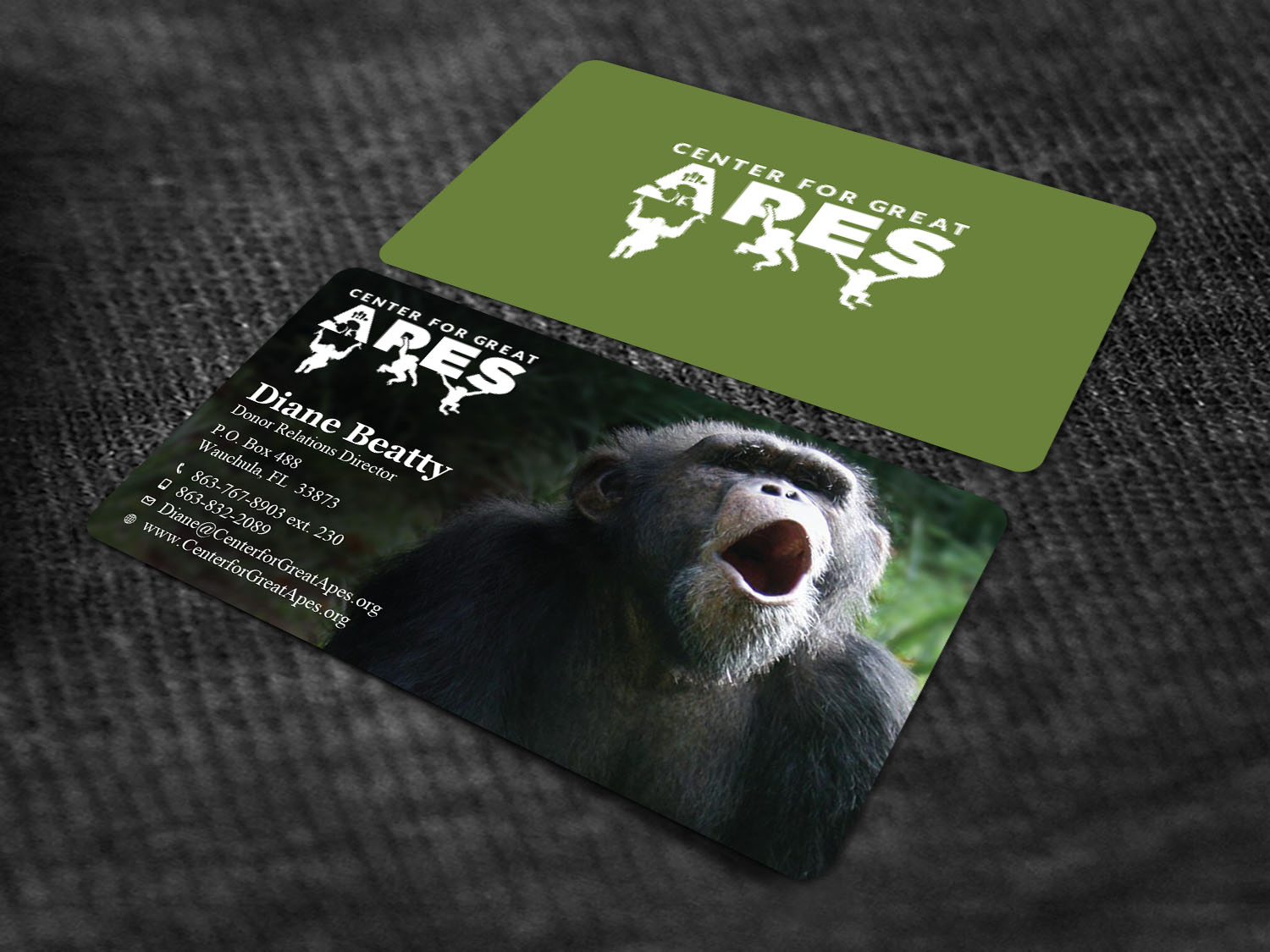 Business Card Design by Tripti Ranjan Gain for this project | Design #17772001