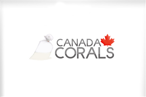 Logo Design by ContestDesign
