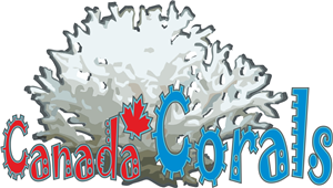 Logo Design by Malsano