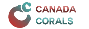 Logo Design by lukerankin
