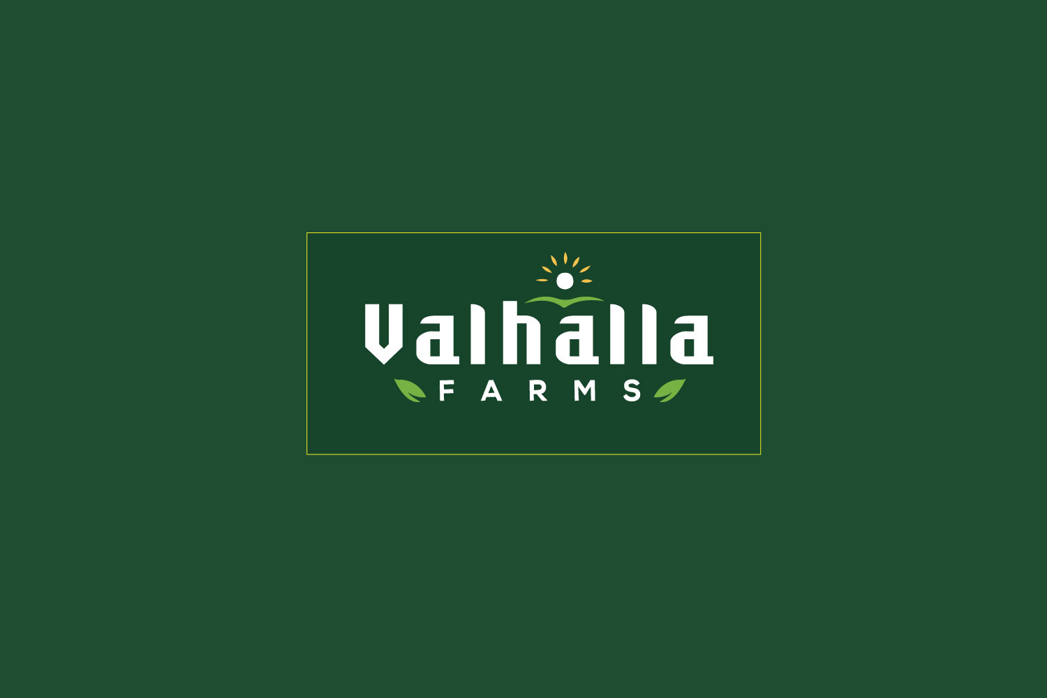 Logo-Design von solidinto für dieses Projekt | Design #23891678