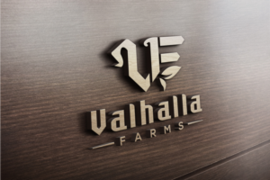 Logo-Design von solidinto für dieses Projekt | Design: #23891681