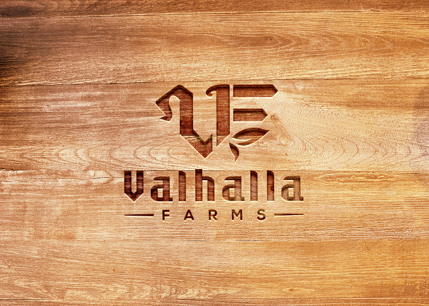 Logo-Design von solidinto für dieses Projekt | Design #23891682