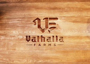 Logo-Design von solidinto für dieses Projekt | Design: #23891682