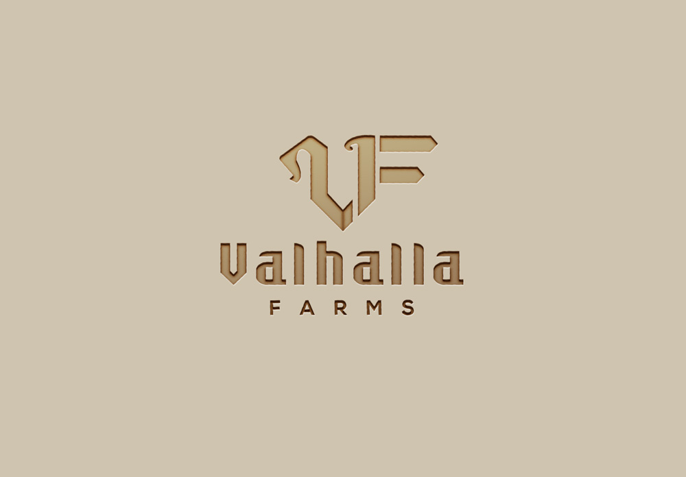 Logo-Design von solidinto für dieses Projekt | Design #23891692