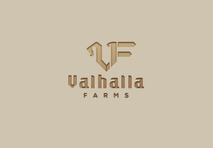 Logo-Design von solidinto für dieses Projekt | Design: #23891692