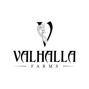 Logo Design by PavanPrajapati for this project | Design: #23842966