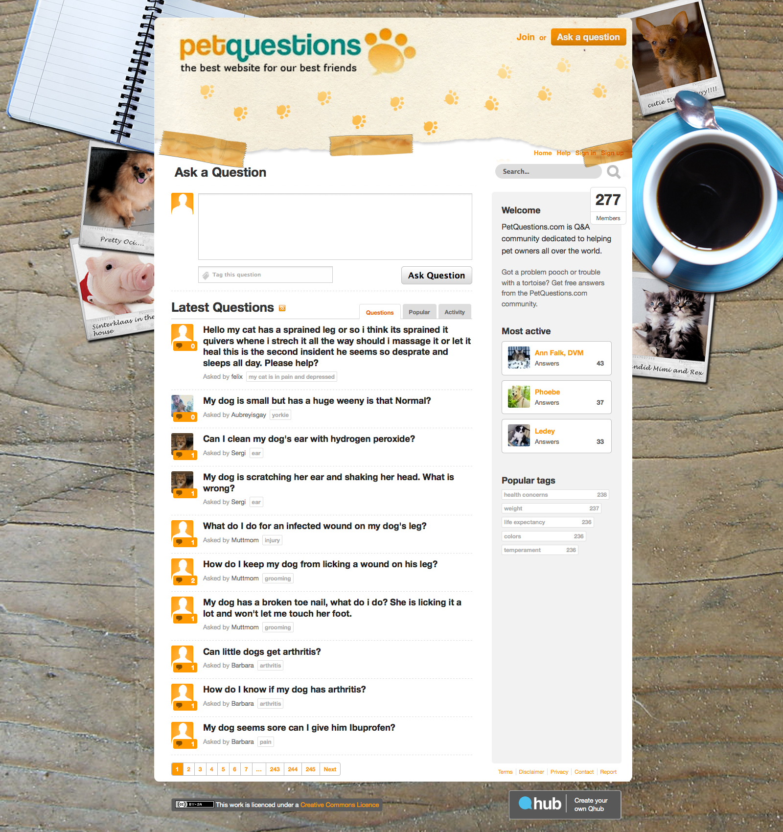 Wordpress Design by Jessie Jasinda for Mindcom Internet Limited | Design #46390