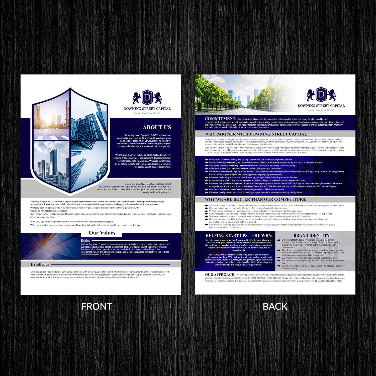 Flyer Design by TuktukiShree for this project | Design #17826841