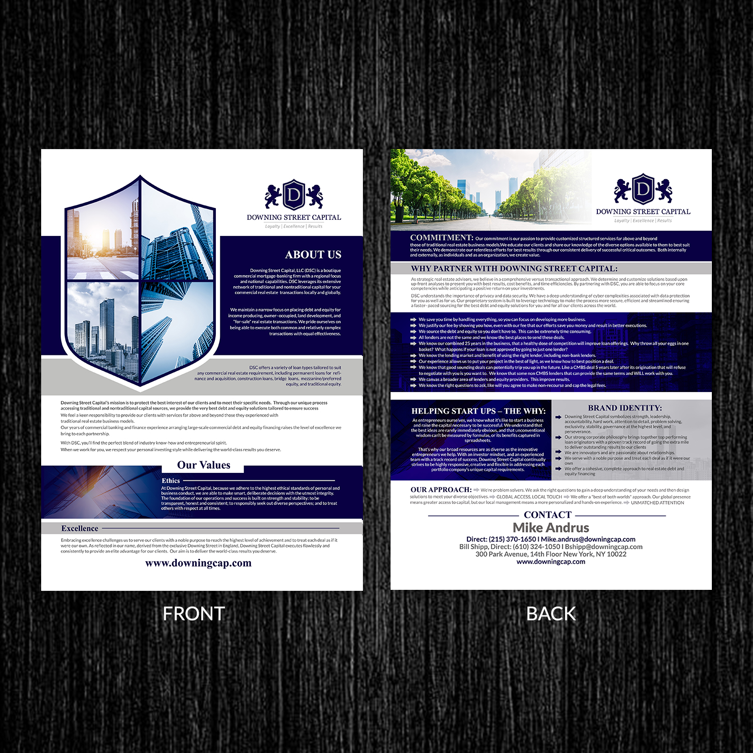 Flyer Design by TuktukiShree for this project | Design #17839628
