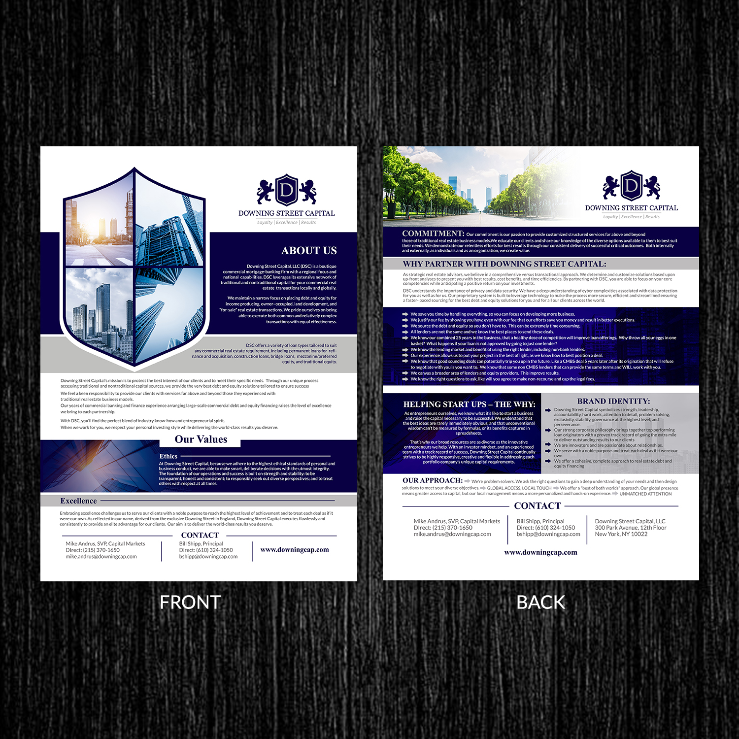 Flyer Design by TuktukiShree for this project | Design #17862720