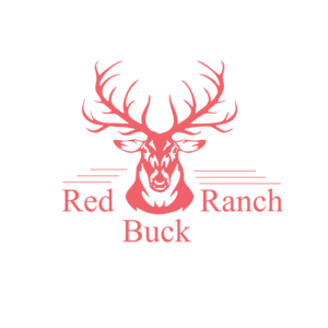 Logo Design by Sambstories