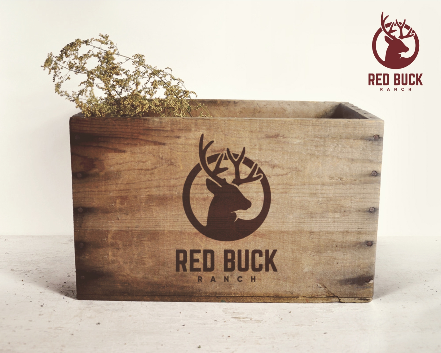 Logo Design by aquabomb26 for Red Buck Ranch | Design #17794335