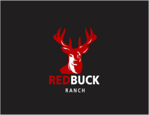 Logo Design by Rumy