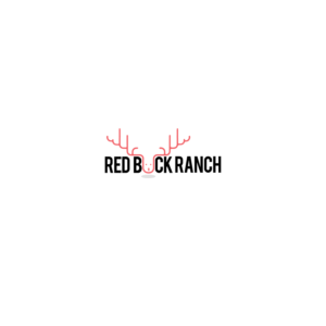 Logo Design by Sidrah Ikram