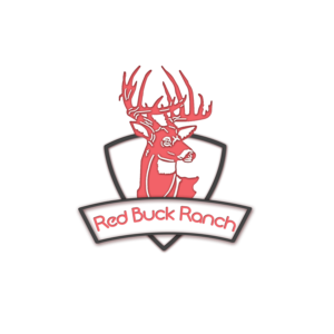 Logo Design by msy04