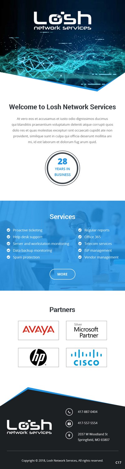 Email Marketing Design by pb for Losh Network Services | Design #17789915