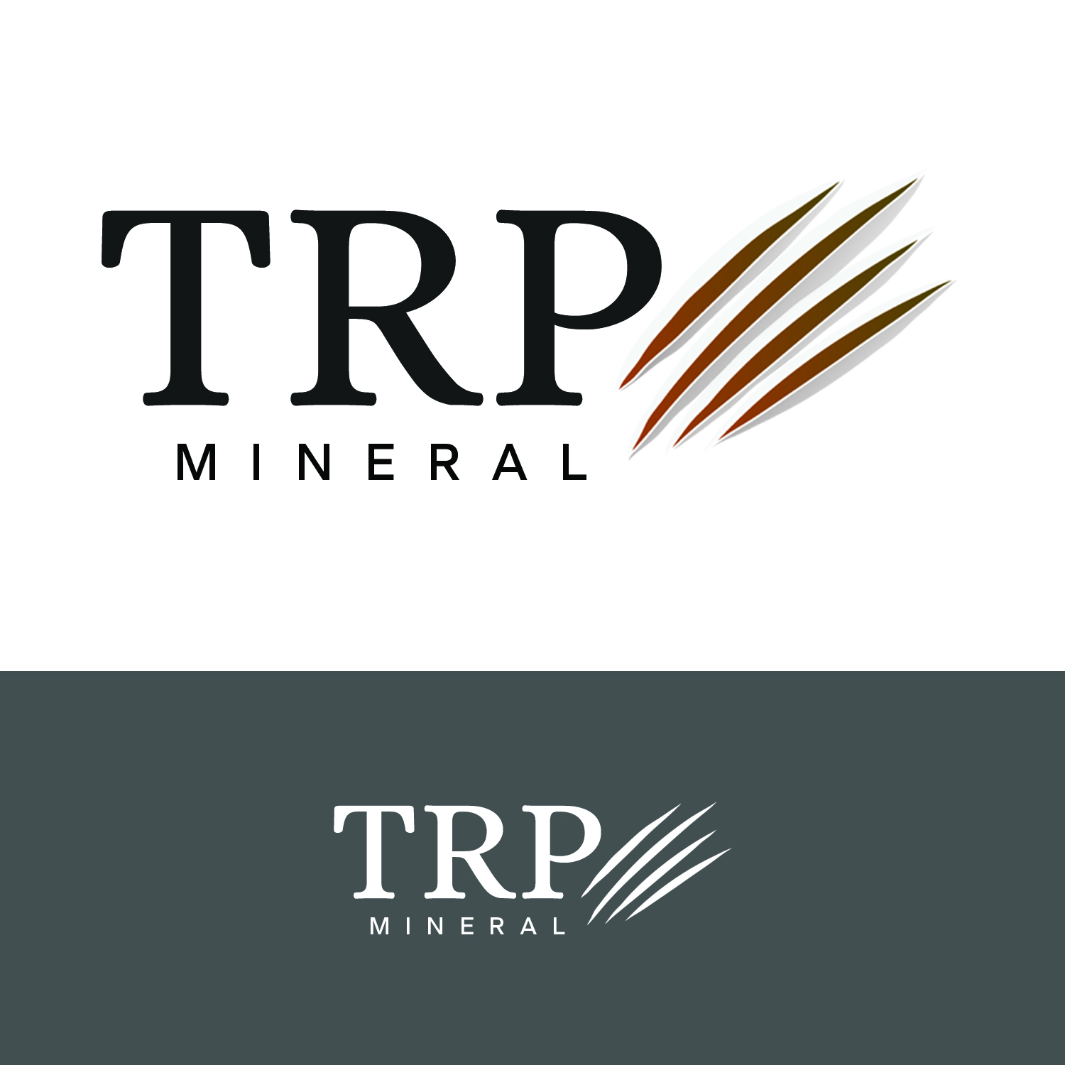 Diseño de Logo por PenArmy para Thunder River Production | Diseño #17871369
