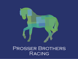 Logo Design by Andreangles1 for this project | Design #2778077