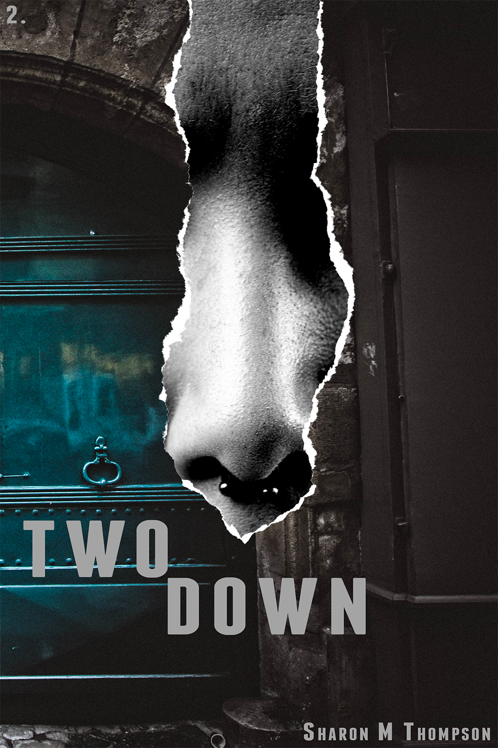 Book Cover Design by Mama Guska for Sharon M Thompson | Design #17813606